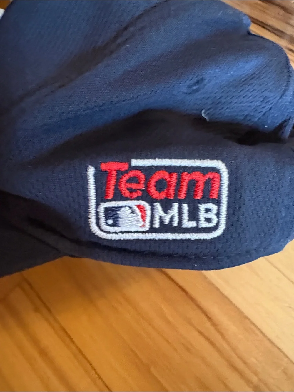 Youth Tampa Bay Rays baseball hat (adjustable)